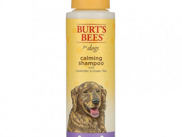 Burt's Bees, Успокаивающий шампунь для собак с лавандой и зеленым чаем, 473 мл (16 жидк. Унций)