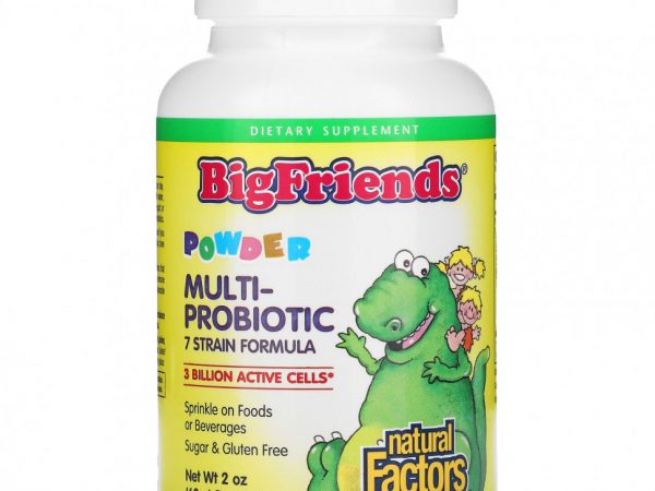 Natural Factors, BigFriends, Multi-Probiotic Powder, 3 Billion , 2 oz (60 g)