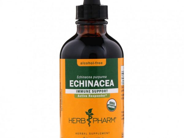 Herb Pharm, Эхинацея, без спирта, 4 жидких унции (120 мл)