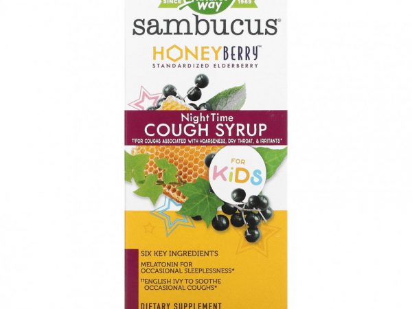 Nature's Way, Sambucus, ночной сироп от кашля с ягодами, 120 мл (4 жидк. Унции)