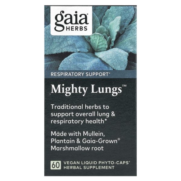 Gaia Herbs, Mighty Lungs™, 60 веганских капсул с фитокапсулами