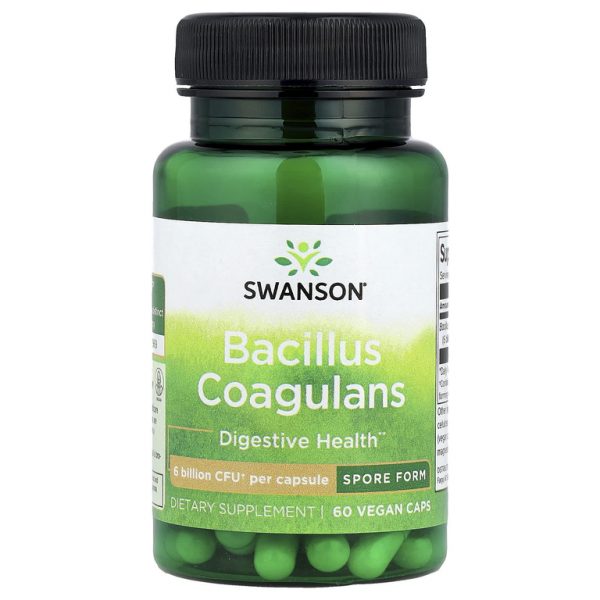 Swanson, Bacillus Coagulans, 6 млрд КОЕ, 60 веганских капсул