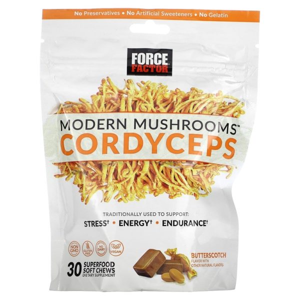 Force Factor, Modern Mushrooms ™, кордицепс, ириска, 300 мг, 30 мягких жевательных таблеток