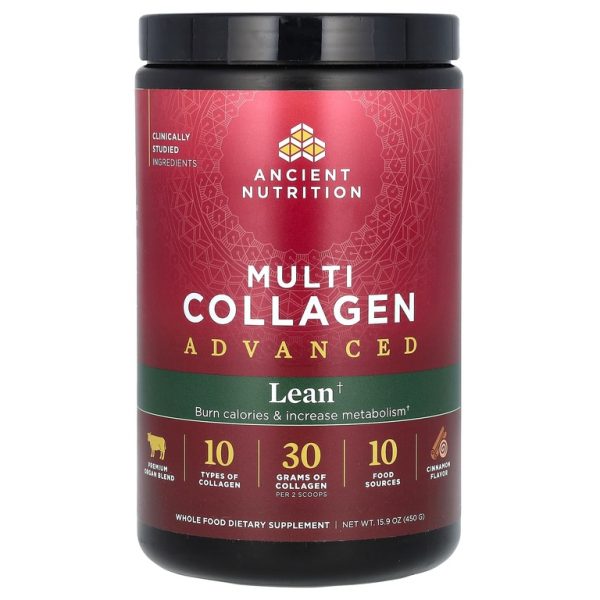 Ancient Nutrition, Multi Collagen Advanced, улучшенный коллаген, корица, 450 г (15,9 унции)