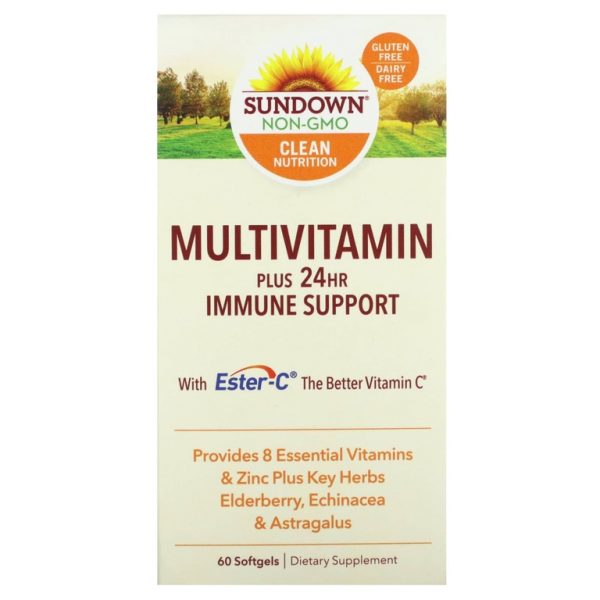 Sundown Naturals, Мультивитамины и поддержка иммунитета в течение 24 часов, 60 мягких таблеток (Товар снят с продажи)
