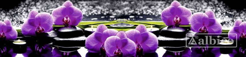 Панель SP 121 2 800х610х6мм