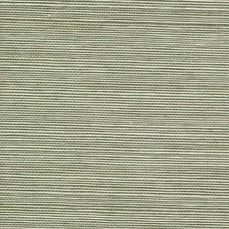 Натуральные обои "Манау Агава" 910мм