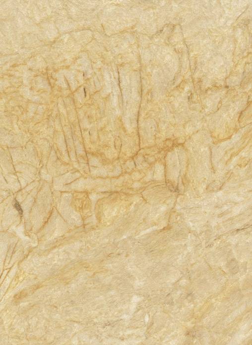 Мебельный щит 921Т Маргарита 600х3 000х4мм Premium+ СОЮЗ 