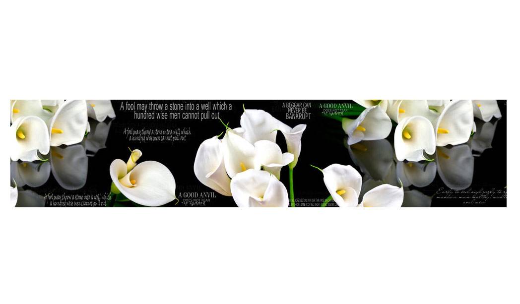 Панель SP 086 2 800х610х6мм