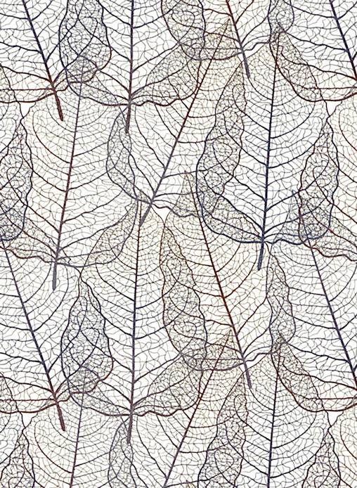 Кромка 605М Бретань 45х3 000мм с клеем Premium СОЮЗ