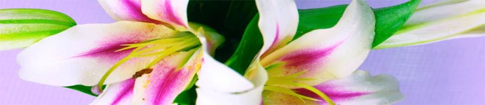 Панель SP 007 2 800х610х6мм