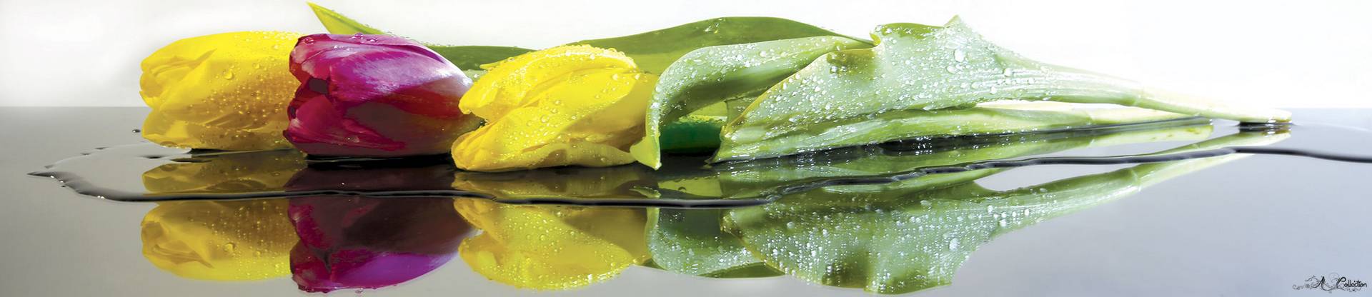 Панель SP 029 2 800х610х6мм