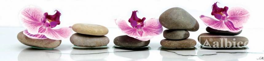 Панель SP 034 2 800х610х6мм