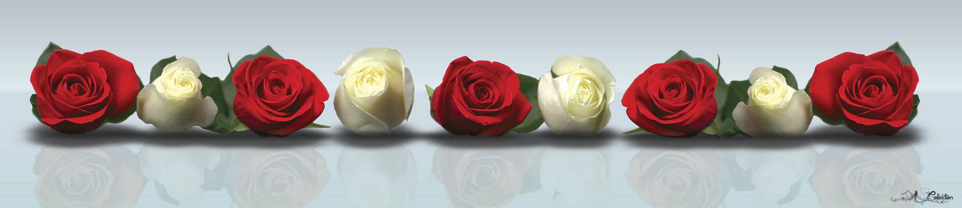 Панель SP 030 2 800х610х6мм