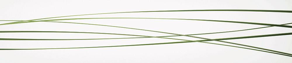 Панель F 34 2 800х610х6мм