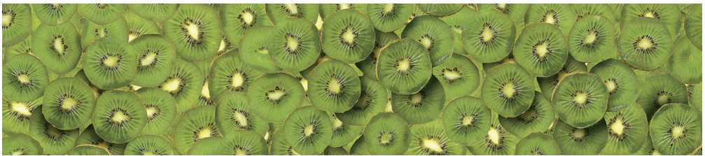 Панель SP 016 2 800х610х6мм