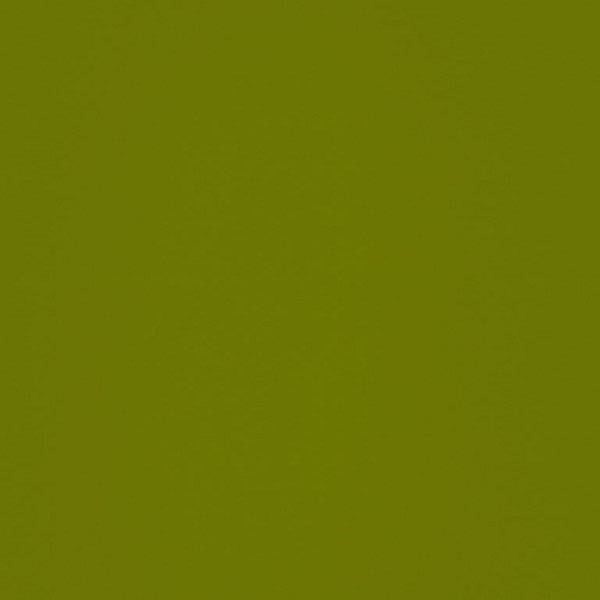 Кромка 1х22мм  645 Олива Зеленая  high gloss(глянец) 2 группа AGT 