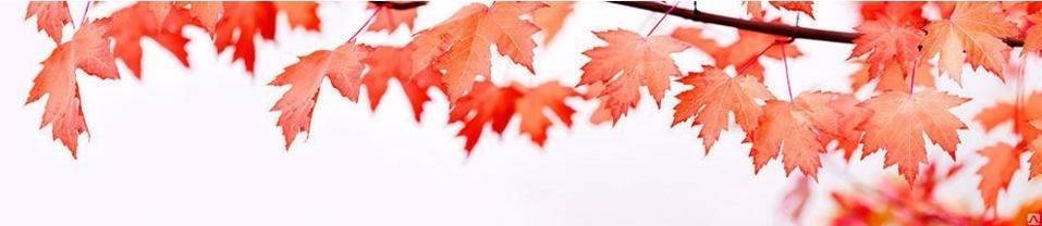 Панель SP 231 2 800х610х6мм