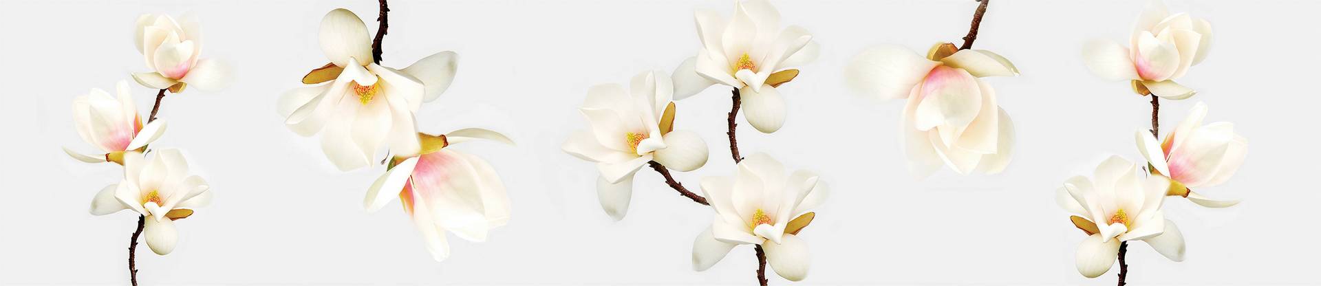 Панель SP 148 2 800х610х6мм