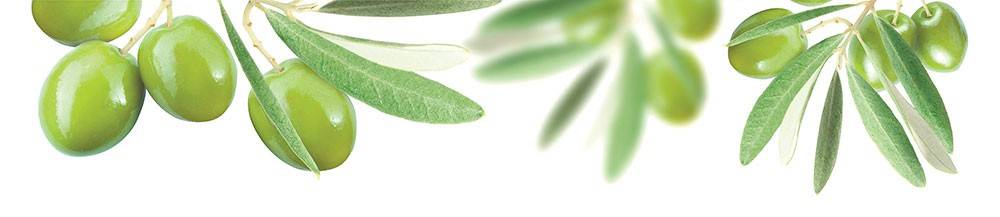 Панель SP 153 2 800х610х6мм