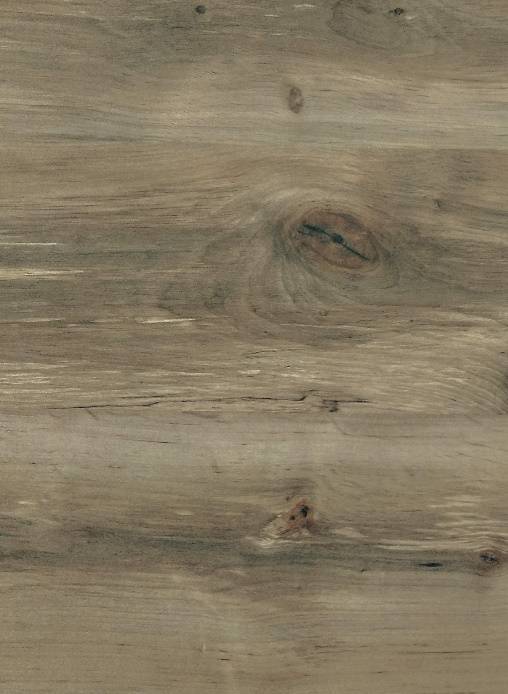 Кромка 521М Береза Сандал 32х3 000мм с клеем Classic СОЮЗ