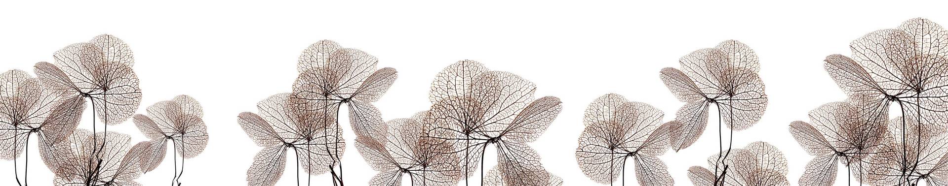 Мебельный щит  9203/S 600х3 000х10мм ARTE1 Slotex 