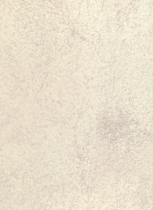 Кромка 542М Коимбра 45х3 000мм с клеем Special Edition СОЮЗ