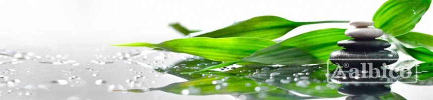 Панель SP 066 2 800х610х6мм