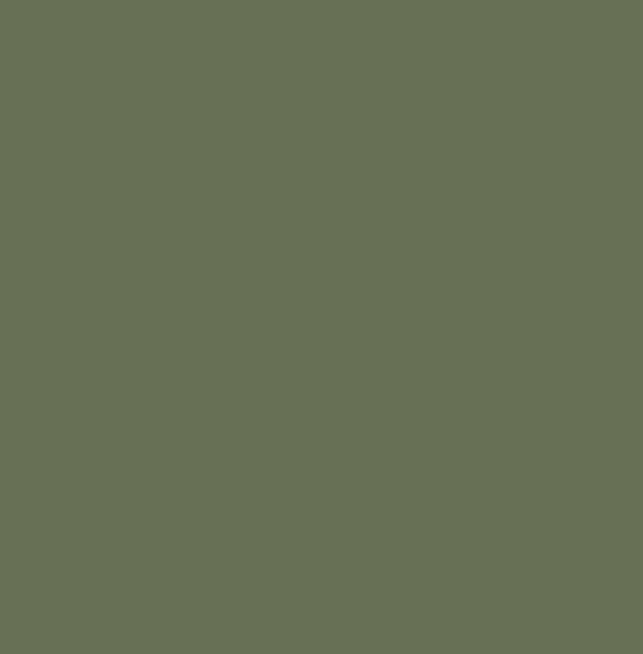 Кромка 1х22мм 3097 Olive Green  Supramat (двухсторонн.матовый)  AGT 