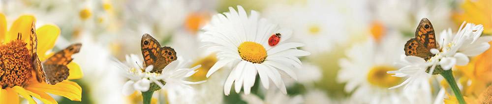 Панель M 04 2 800х610х6мм