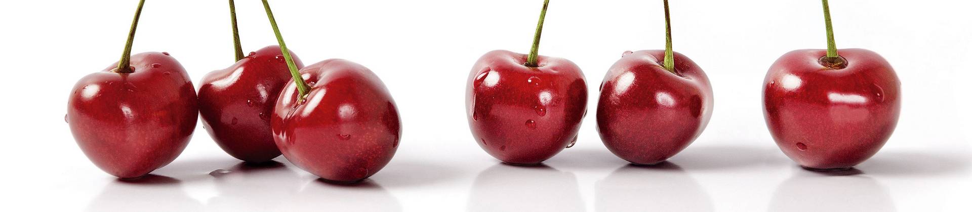 Панель SP 249 2 800х610х6мм