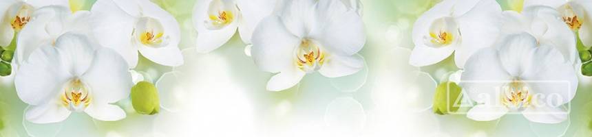 Панель SP 213 2 800х610х6мм