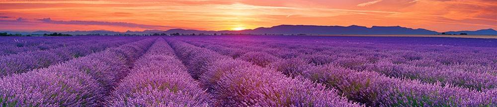 Панель SP 157 2 800х610х6мм