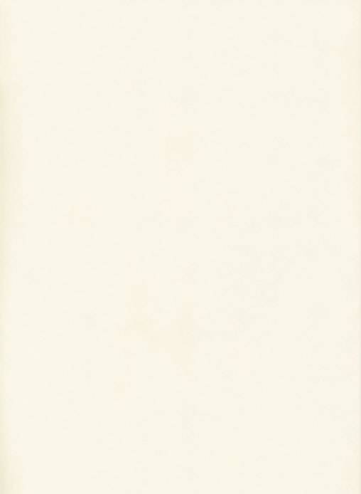 Столешница 10М Белый 26мм 800х3 050 Universal СОЮЗ 1U 