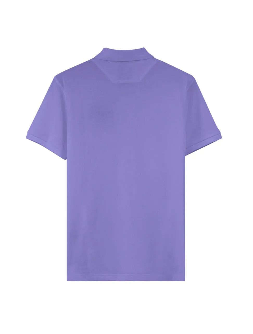 BEVERLY HILLS POLO CLUB Purple Men Polo Shirts Model BN21409 BEVERLY HILLS POLO CLUB Purple Men Polo Shirts Model BN21409