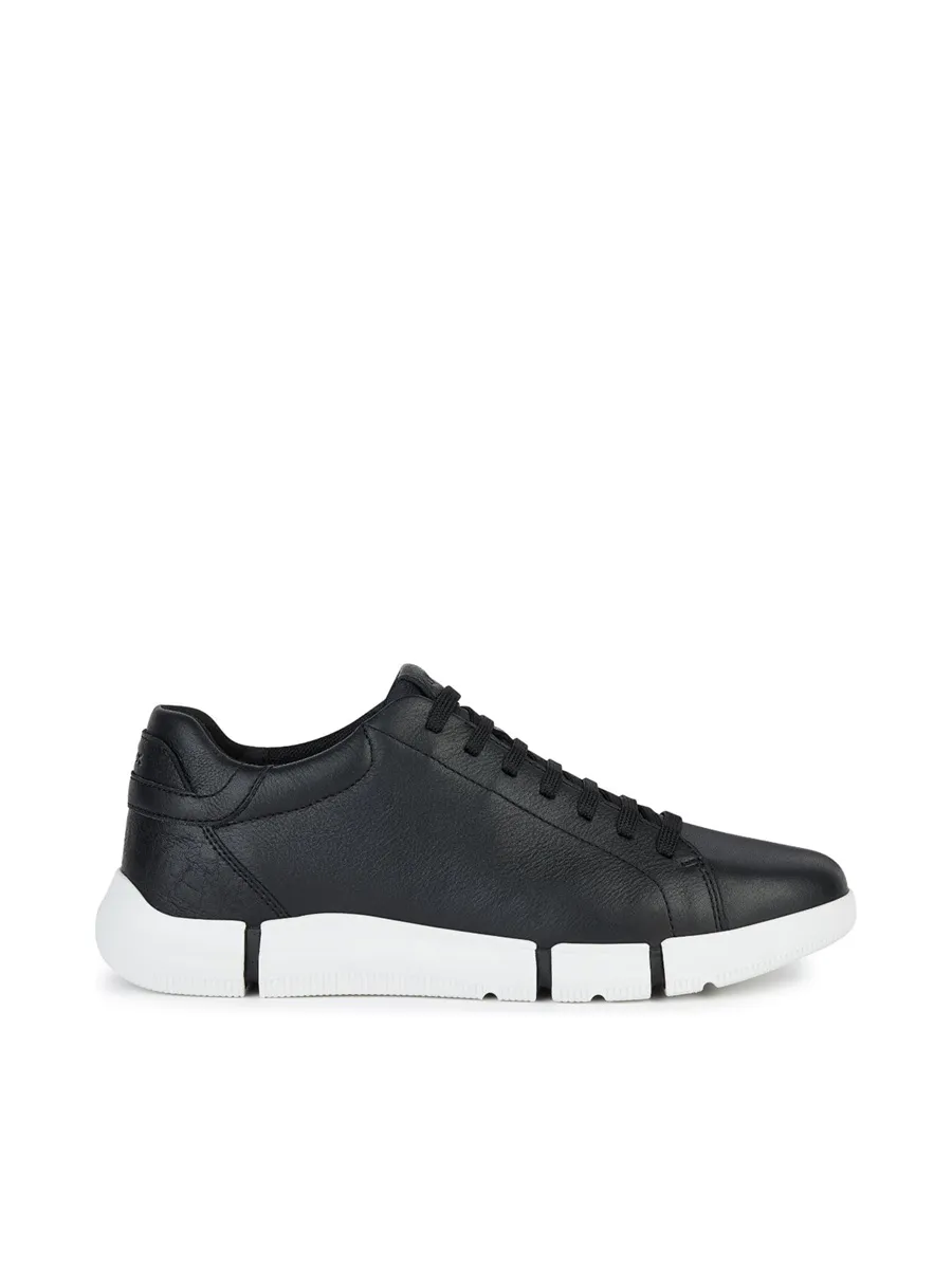 GEOX Men Sneaker U Adacter GEOX Men Sneaker U Adacter