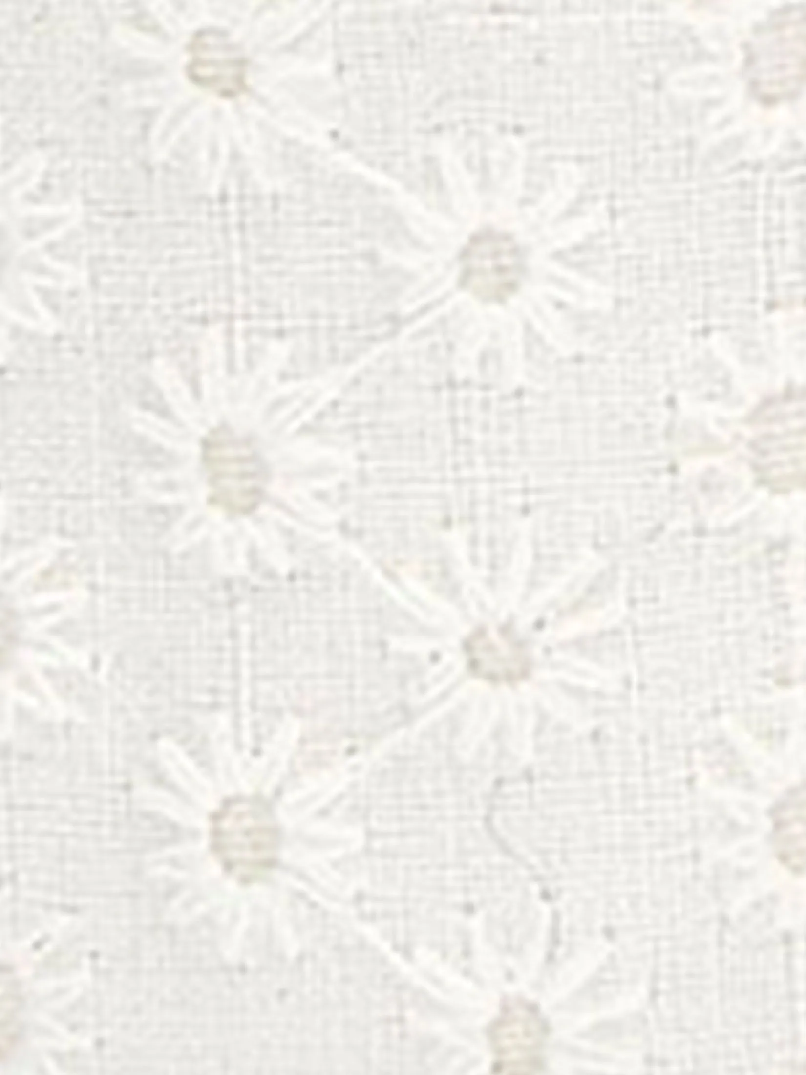 KEDS Women The Mini Daisy Eyelet Snow White KEDS Women The Mini Daisy Eyelet Snow White