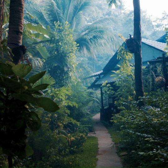 Женская парфюмерия