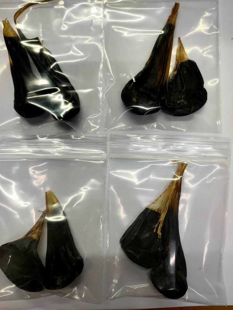 Желчный пузырь питона со змеиной фермы 2 шт