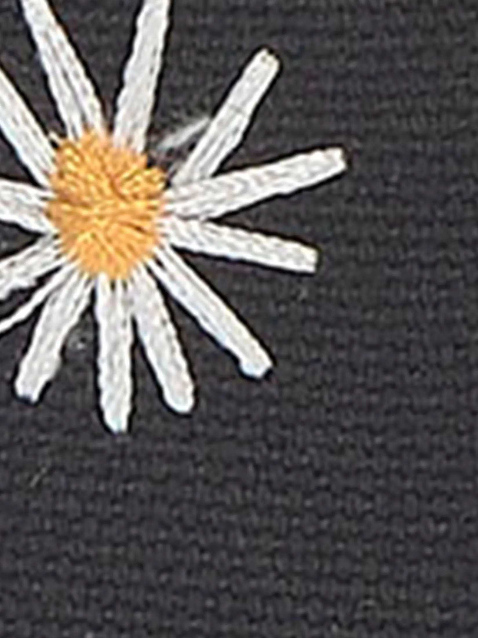 KEDS Women Champion Canvas Daisy Embroidery Black