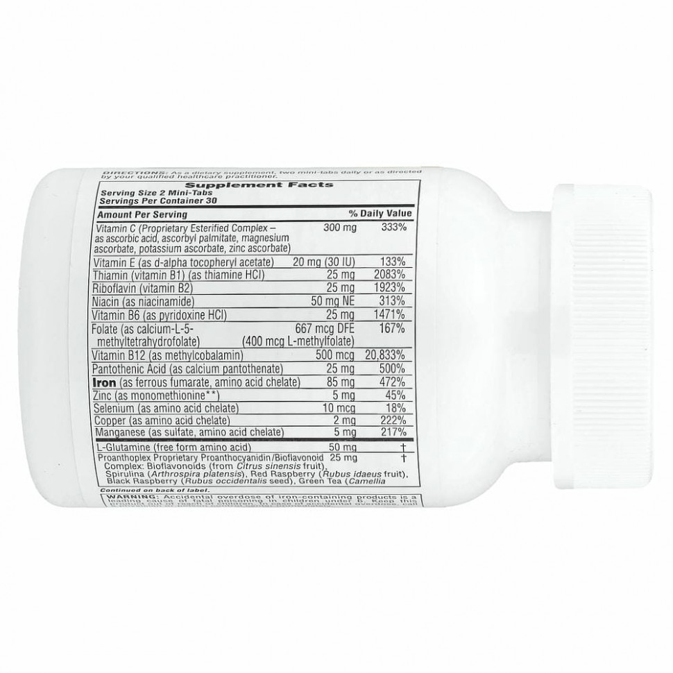 NaturesPlus, Hema-Plex, железо с незаменимыми питательными веществами для здоровых эритроцитов, 60 мини-таблеток с медленным высвобождением