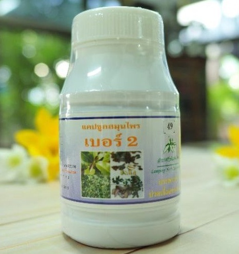 Сбор для лечения суставов и грыжи №2 Лампанг госпиталь 100 шт