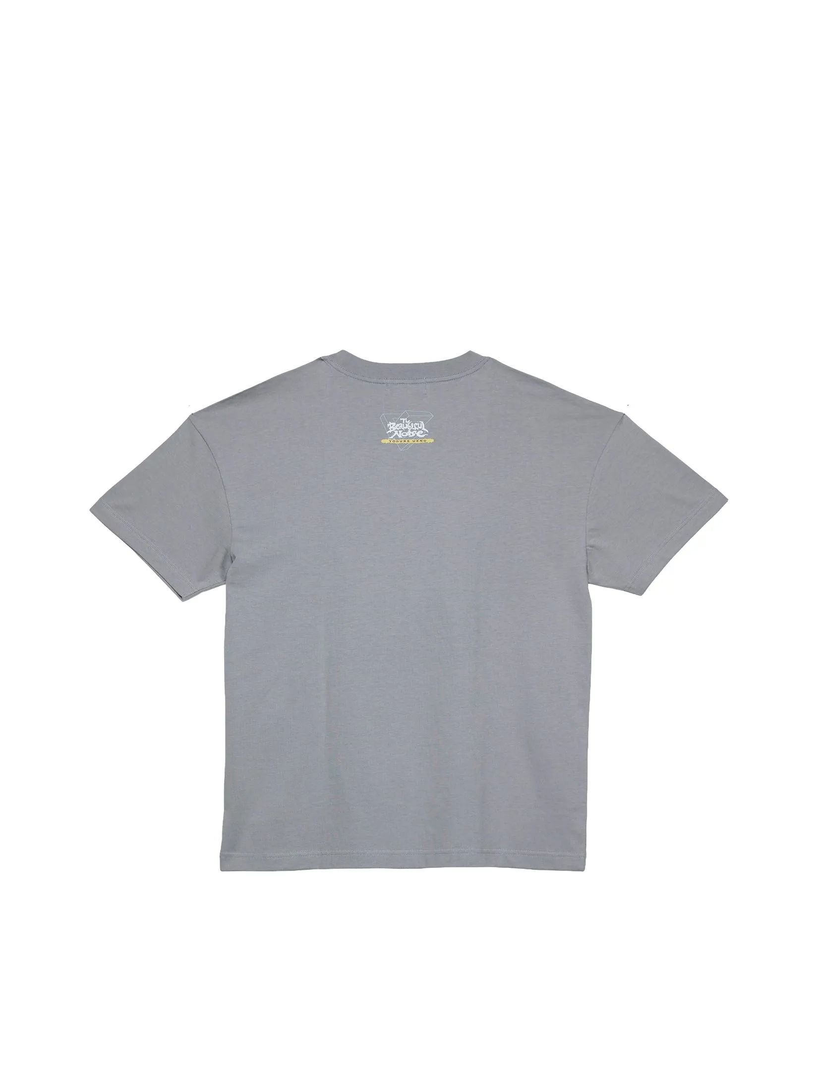 CENTRAL EDITION Unisex T-Shirt Iggy Grey