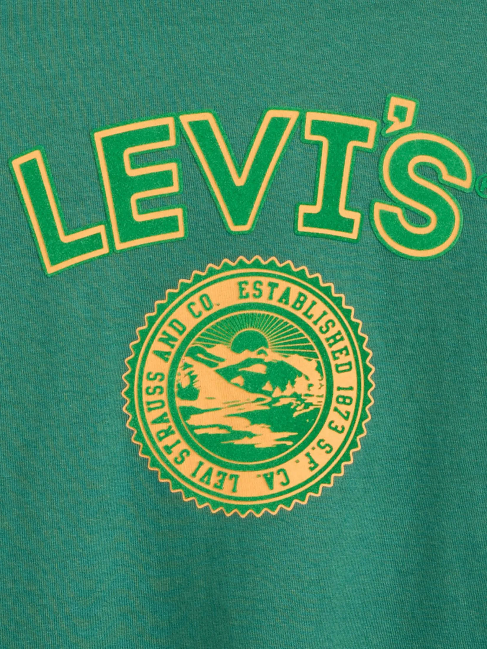LEVI'S Men's Relaxed Fit Short-Sleeve Graphic T-Shirt Green