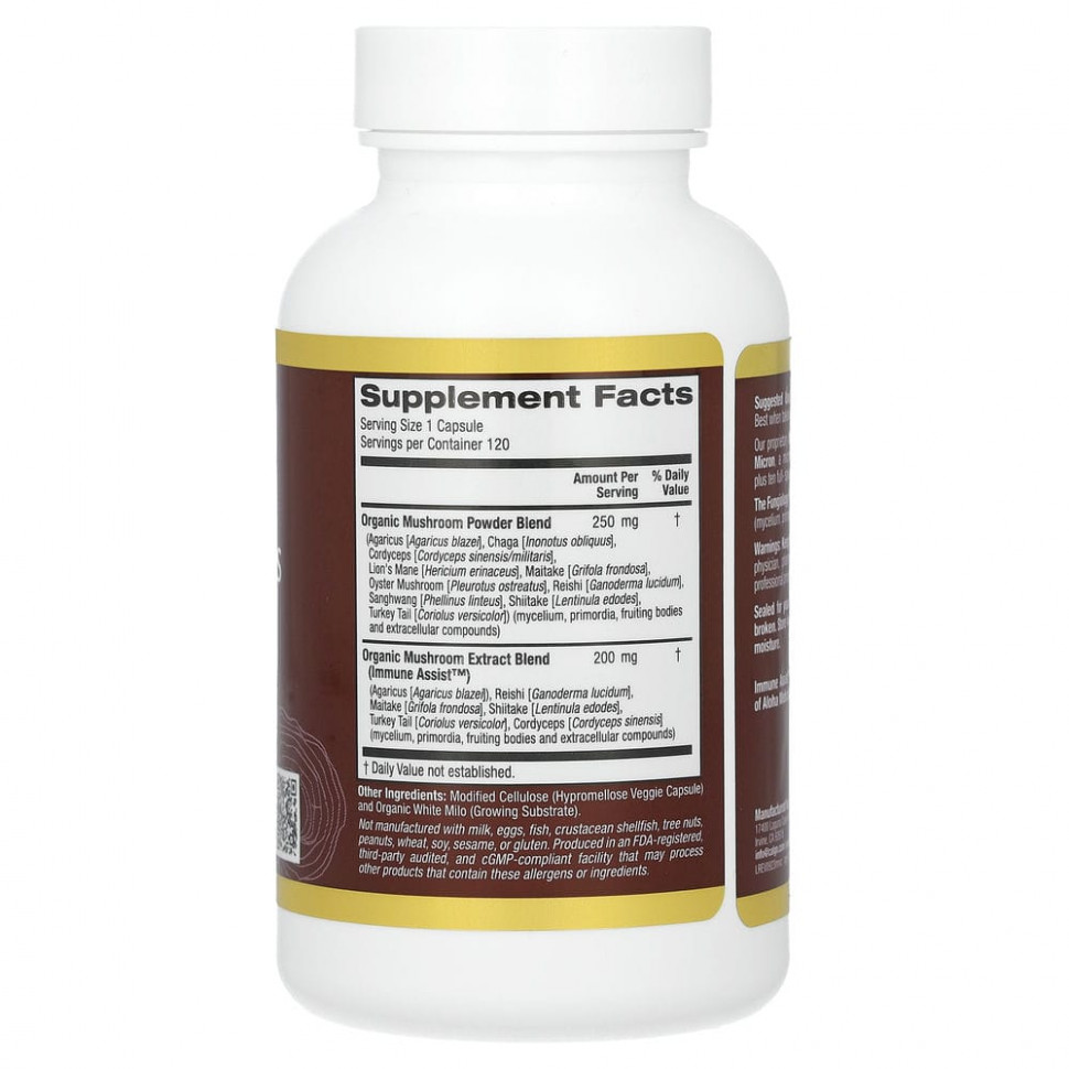 California Gold Nutrition, Fungiology, MushRex Plus, Immune Assist Micron, комплекс грибов полного спектра, сертифицированный органический продукт, 120 растительных капсул