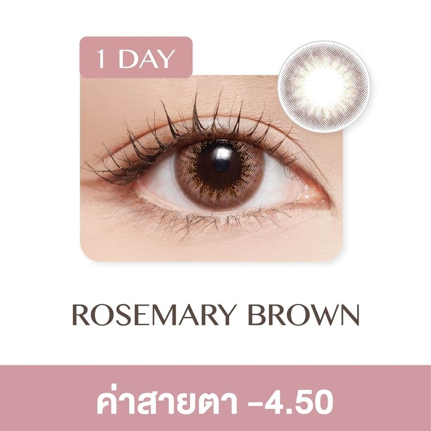 Pegavision Daily Kaori Rosemary Brown -4.50 (10 pcs)