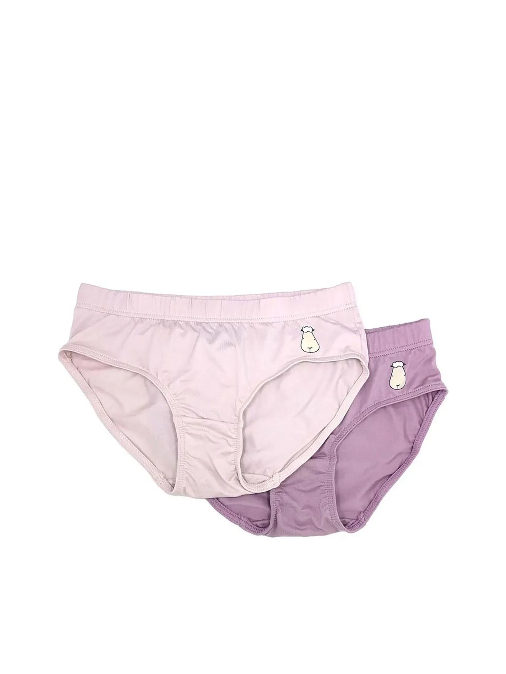BAA BAA SHEEPZ Women Briefs Pack of 2 Multi-Color