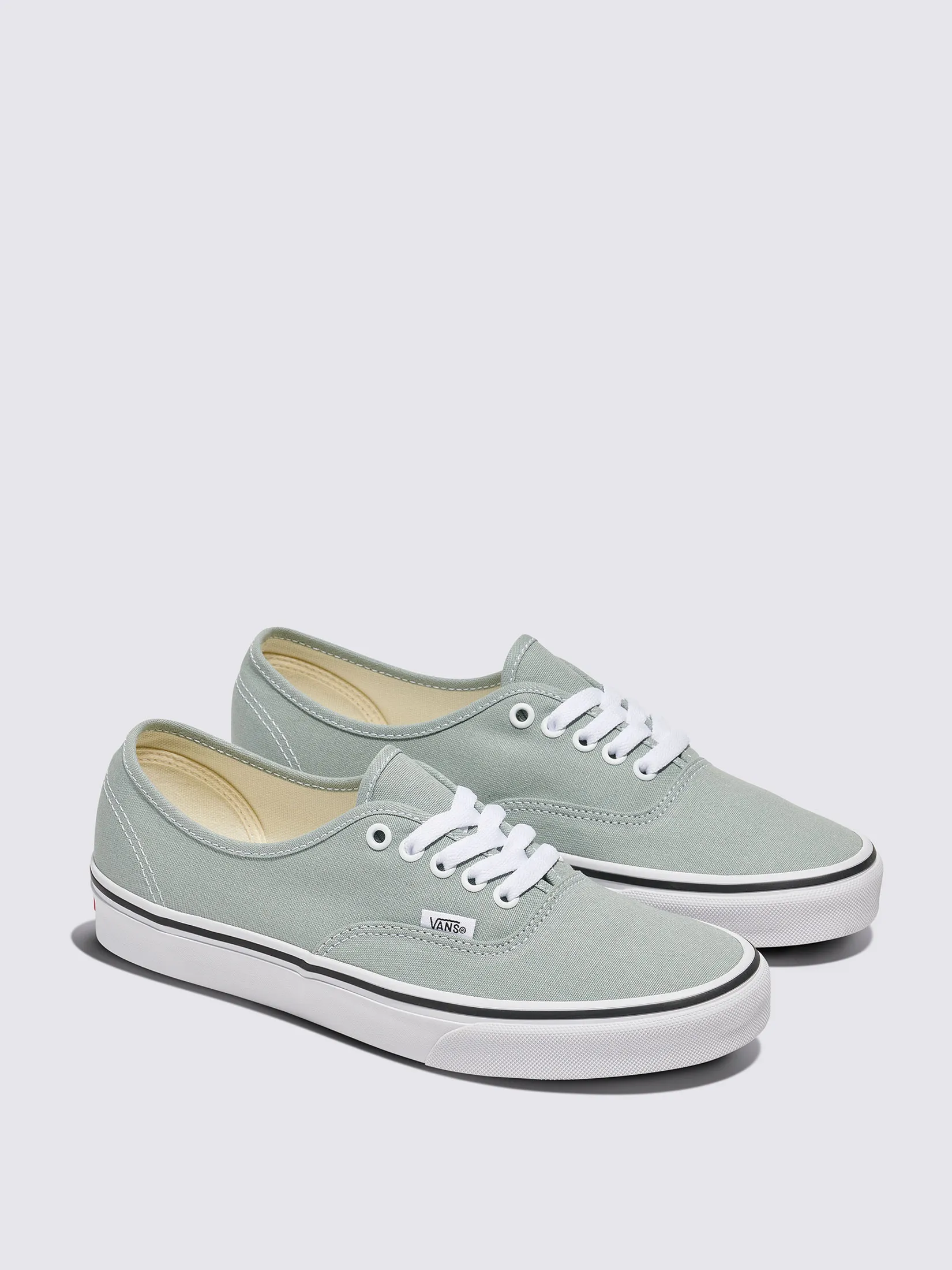 VANS Unisex Sneakers Authentic Color Theory / Pure Grey