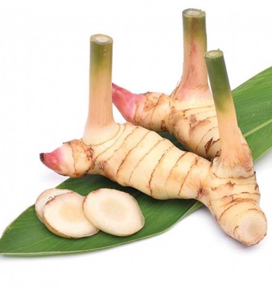 Сушеный корень галангала 200 гр