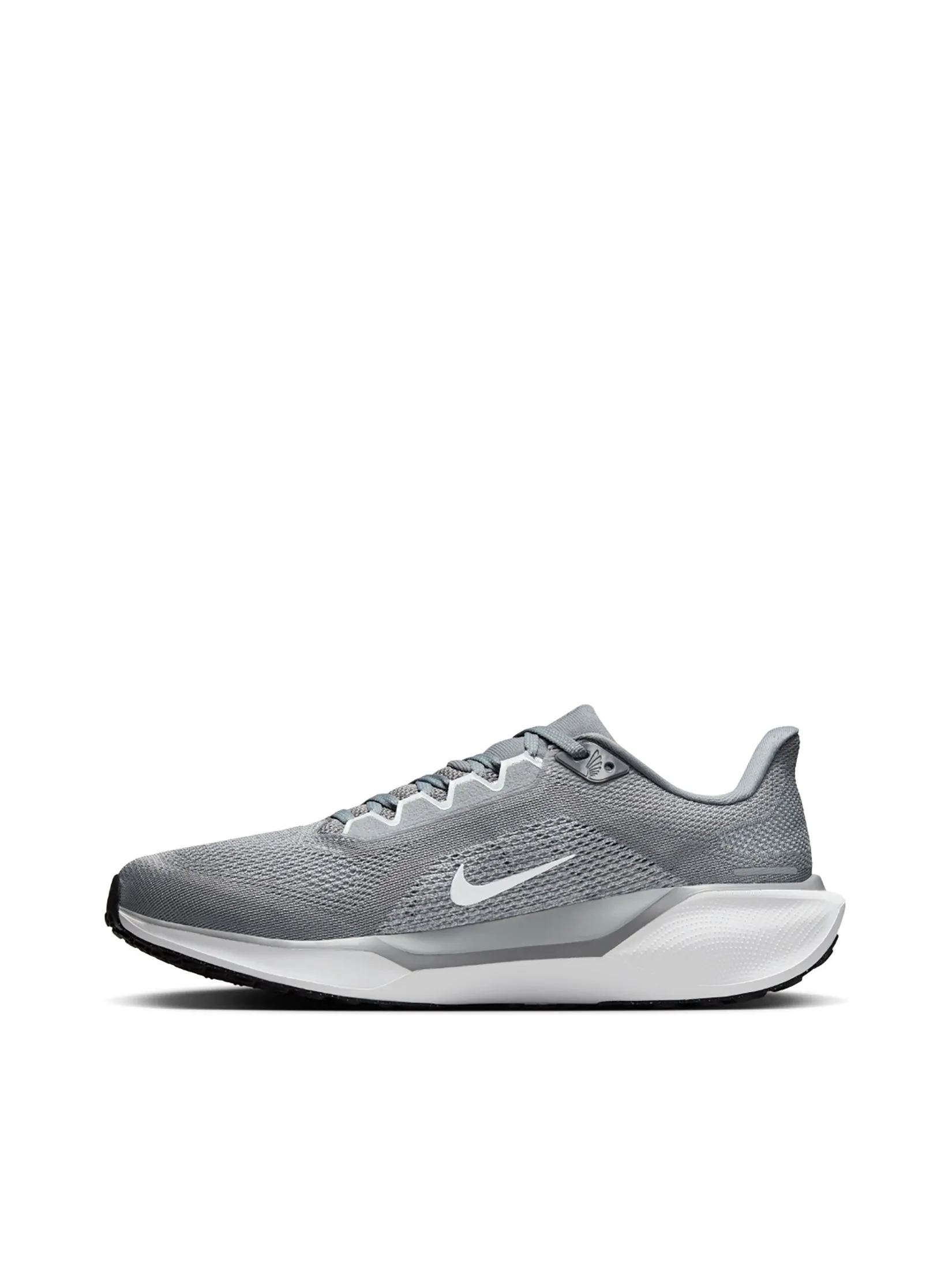 NIKE Men Running Shoes Pegasus 41